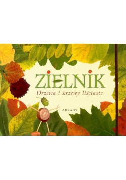 Zielnik drzewa i krzewy liściaste