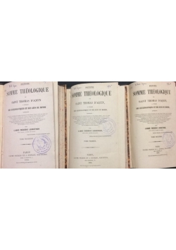 Petite somme theologique, Tom 1-3