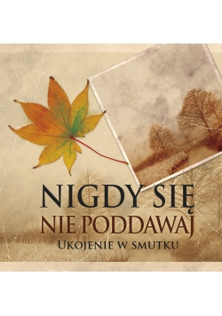 Nigdy się nie poddawaj