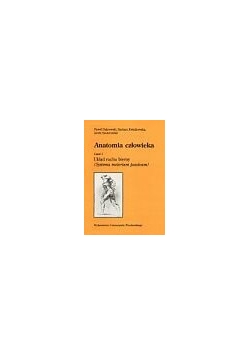 Anatomia człowieka, część 1