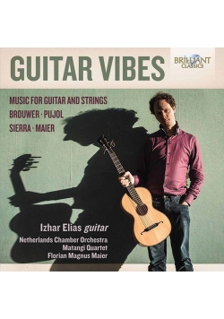 Guitar Vibes