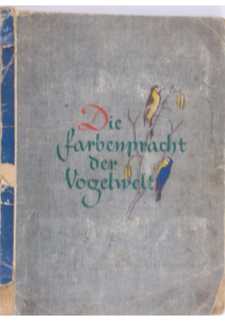 Die farbenpracht der Vogelwelt