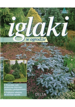 Iglaki w ogrodzie