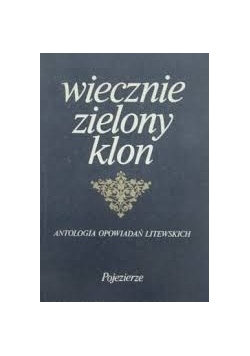 Wiecznie zielony klon