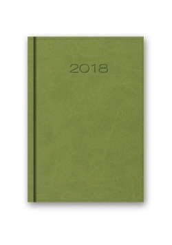 Kalendarz 2018 41D B6 jasnozielony