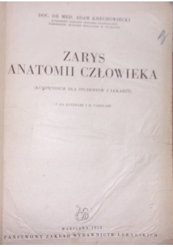 Zarys anatomii człowieka