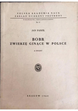 Bóbr zwierzę ginące w Polsce
