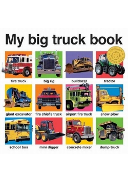 My Big Truck Book