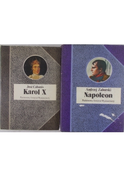 Karo X/Napoleon
