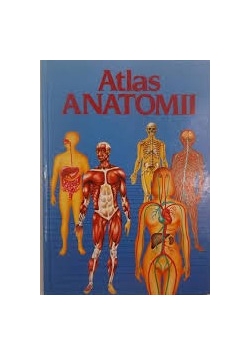 Atlas anatomii