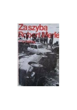Za szybą