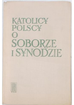 Katolicy Polscy o soborze i synodze