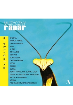 Muzyczny radar Elektronika