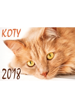 Kalendarz 2018 Koty