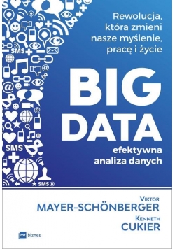 BIG DATA - efektywna analiza danych