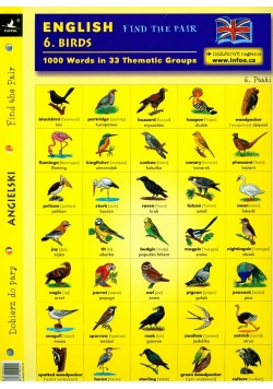 Angielski Dobierz do pary 6 Birds