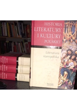 Historia literatury i kultury polskiej zestaw 4 książek