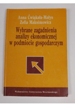Wybrane zagadnienia analizy ekonomicznej w podmiocie gospodarczym