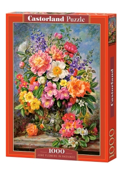 Puzzle 1000 June Flowers in Radiance