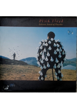 Delicate Sound of Thunder, płyta winylowa