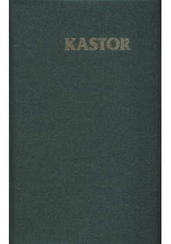 Kalendarz 2018 Kastor plastikowy mix kolorów