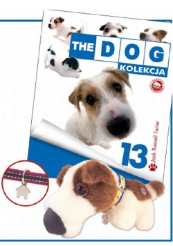 Dog Kolekcja 13 Jack Russell Terrier