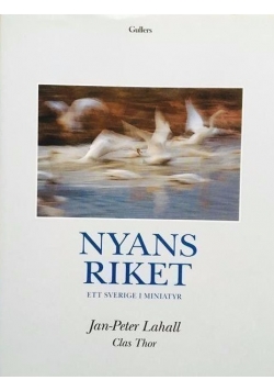Nyans Riket ett sverige i miniatyr