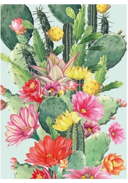 Karnet B6 z kopertą Cactus Flower