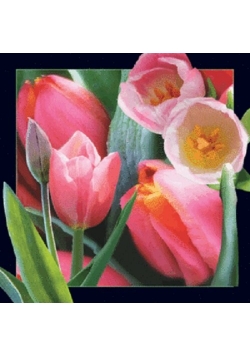 Magnes 3D - Tulipan