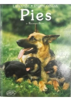 Pies