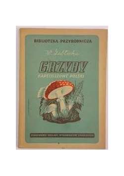 Grzyby kapeluszowe polskie