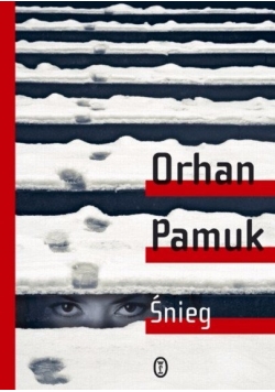 Śnieg
