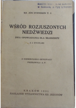 Wśród rozjuszonych niedźwiedzi, 1931 r.