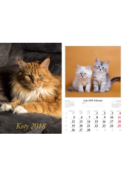 Kalendarz 2018 wieloplanszowy Koty