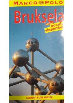 Bruksela porady ekspertów