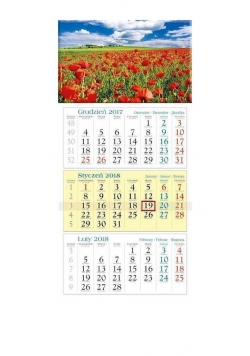 Kalendarz 2018 KT 5 Maki