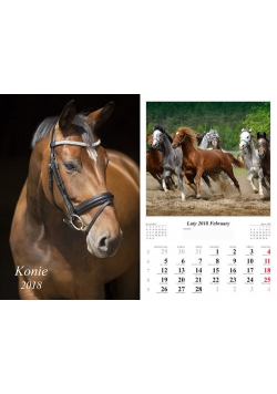 Kalendarz 2018 wieloplanszowy Konie