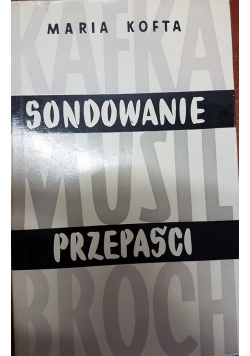 Sondowanie przepaści