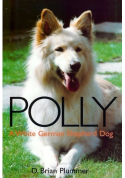Polly. A white german shepherd dog