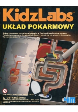 Układ pokarmowy KidzLabs