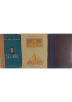 Szalona/Notatki/Za Sasów