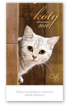Kalendarz 2018 RW 31 Koty domowe