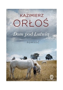 Dom pod Lutnią