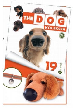 The dog Jamnik 19
