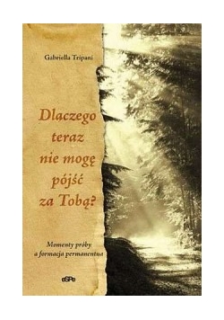 Dlaczego teraz nie mogę pójść za Tobą?