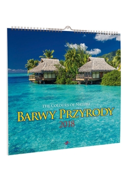 Kalendarz 2018 KD-9 Barwy przyrody