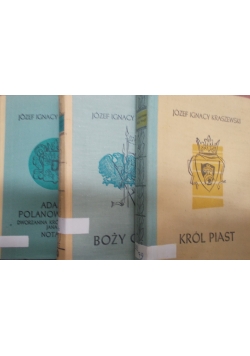 Król Piast/Boży gniew/Adama Polanowskiego Dworzanina Króla Jegomości Jana III notatki