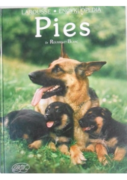 Pies