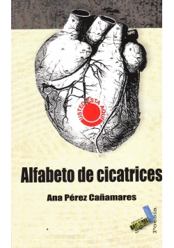 Alfabeto de cicatrices