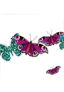 Karnet Swarovski kwadrat Motyle